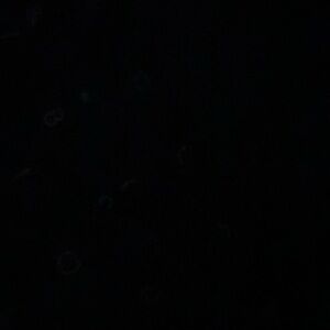 Meet your Posher, Toohigh